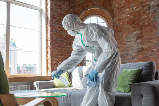 Best Asbestos and Lead Testing During Mold Inspection  in Richnd, MO